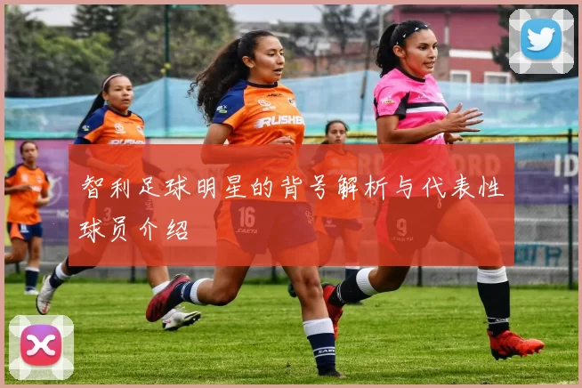 智利足球明星的背号解析与代表性球员介绍